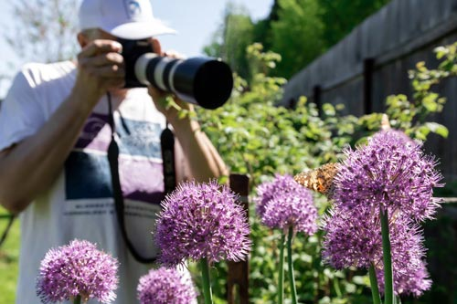 A photographer uses a long lens to take a photo of a butterfly from a distance.